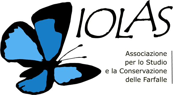 Associazione per lo studio e la conservazione delle farfalle